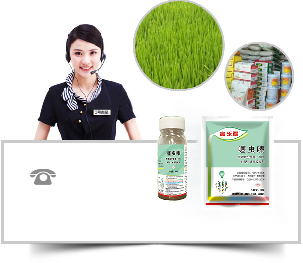 除草劑廠(chǎng)家，除草劑批發(fā)